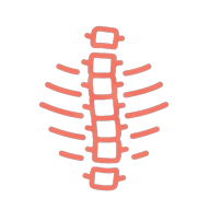 pf icon spine